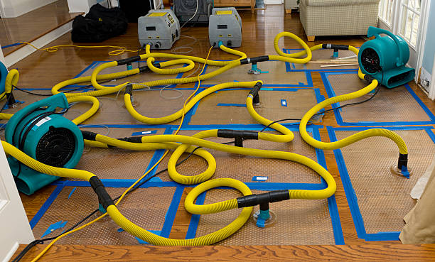 Professional Basement Flood Cleanup technician working in Boulder, CO